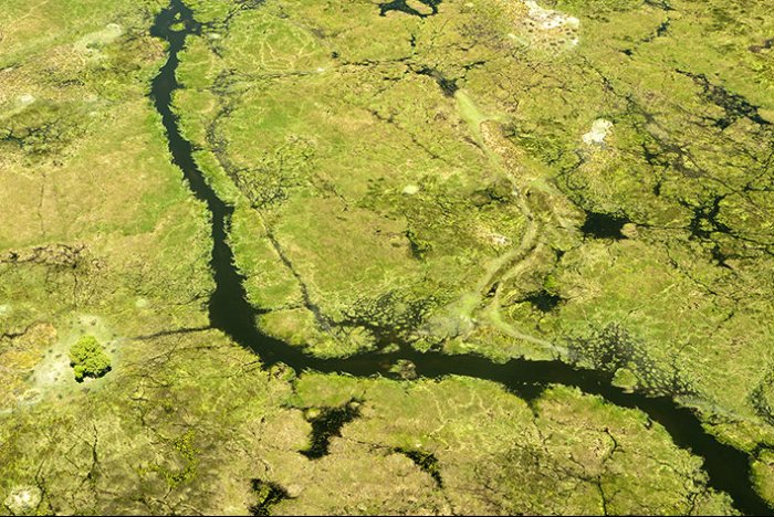 Okavango Delta - Moremi National Park - Botswana