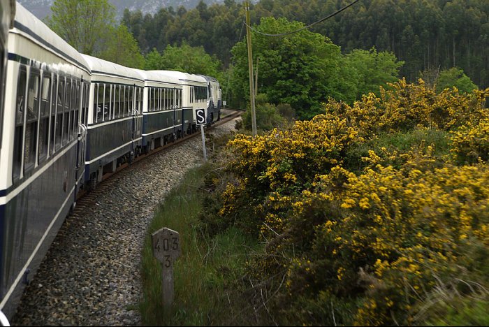 Transcantabrico - Spain's Northern Coast by Private Rail