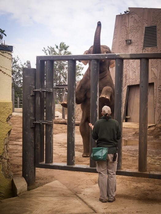 CIRCUM / Olympus - SIDNEY - Australia - Taronga Zoo