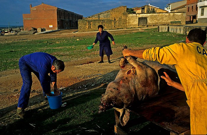 Deleitosa - Extremadura - Spain