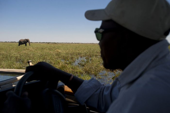 Chobe National Park - Savute Elephant Camp - Botswana