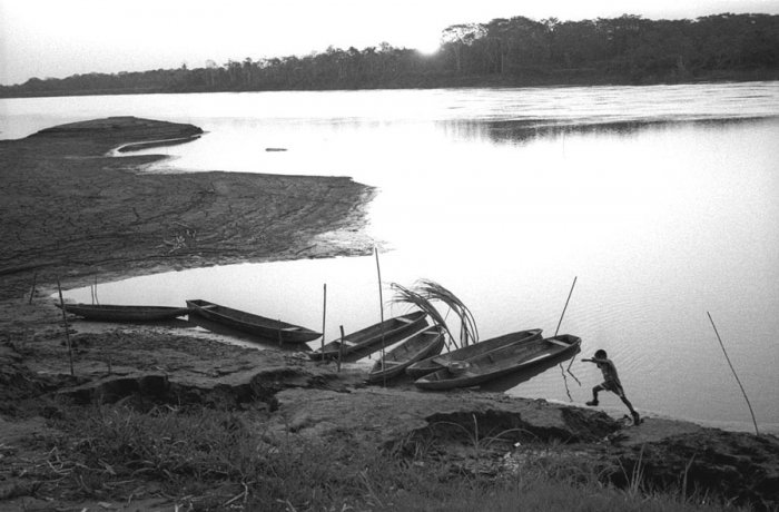 Peruvian Amazon