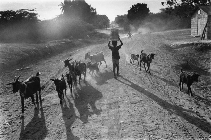 Dominican Republic - Sugar Cane Harvest - Batey Cuchilla