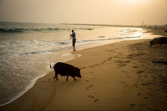 COTONOU - Benín - África - Playa de Enangnon