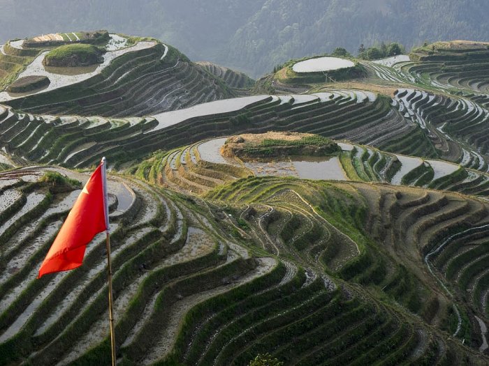 CHINA - LONGSHENG - Guangxi Province - Rice terraces