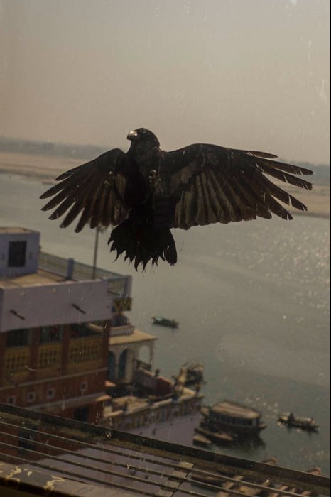 INDIA - BENARES - Uttar Pradesh - RIO GANGES