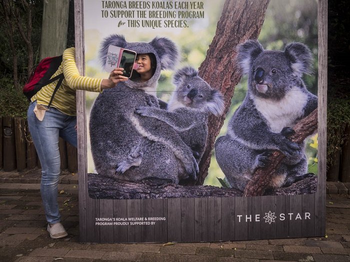 CIRCUM / Olympus - SIDNEY - Australia - Taronga Zoo